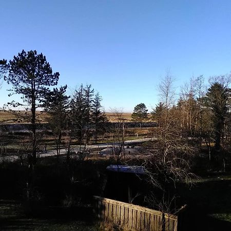 Appartamento Seeperle 5, Stilvolle Fewo Mit Nordseeblick Sankt Peter-Ording Esterno foto